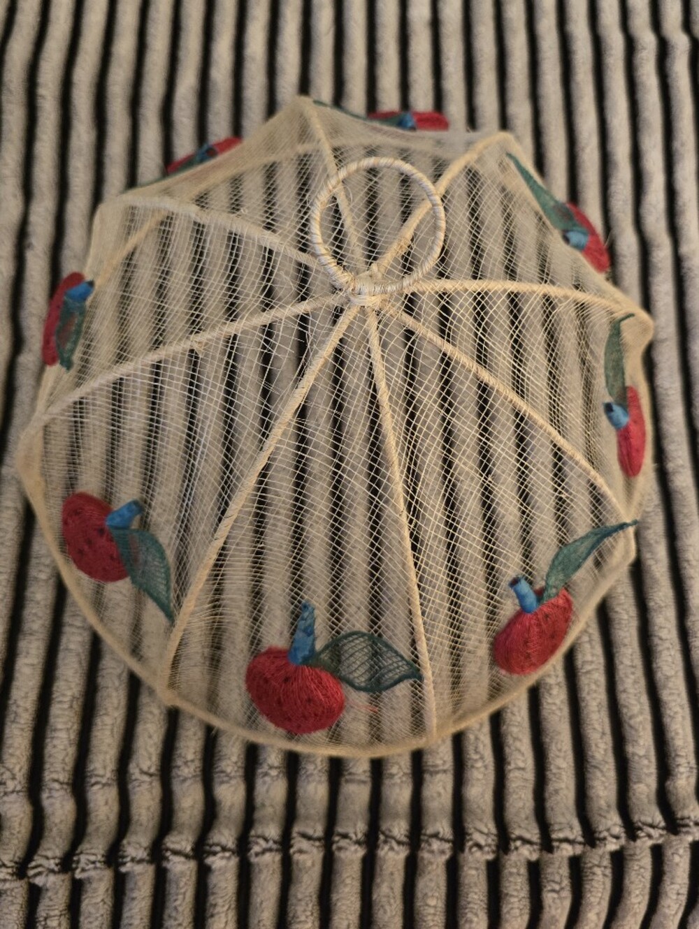 Embroidered Strawberry Mesh Woven Food Dome Cover Outdoor Dining